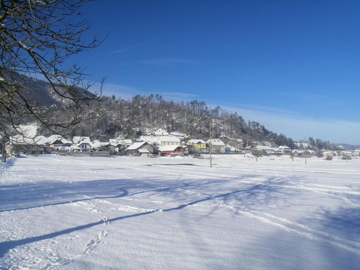 הוילה Planina  Hisa Haasberg מראה חיצוני תמונה